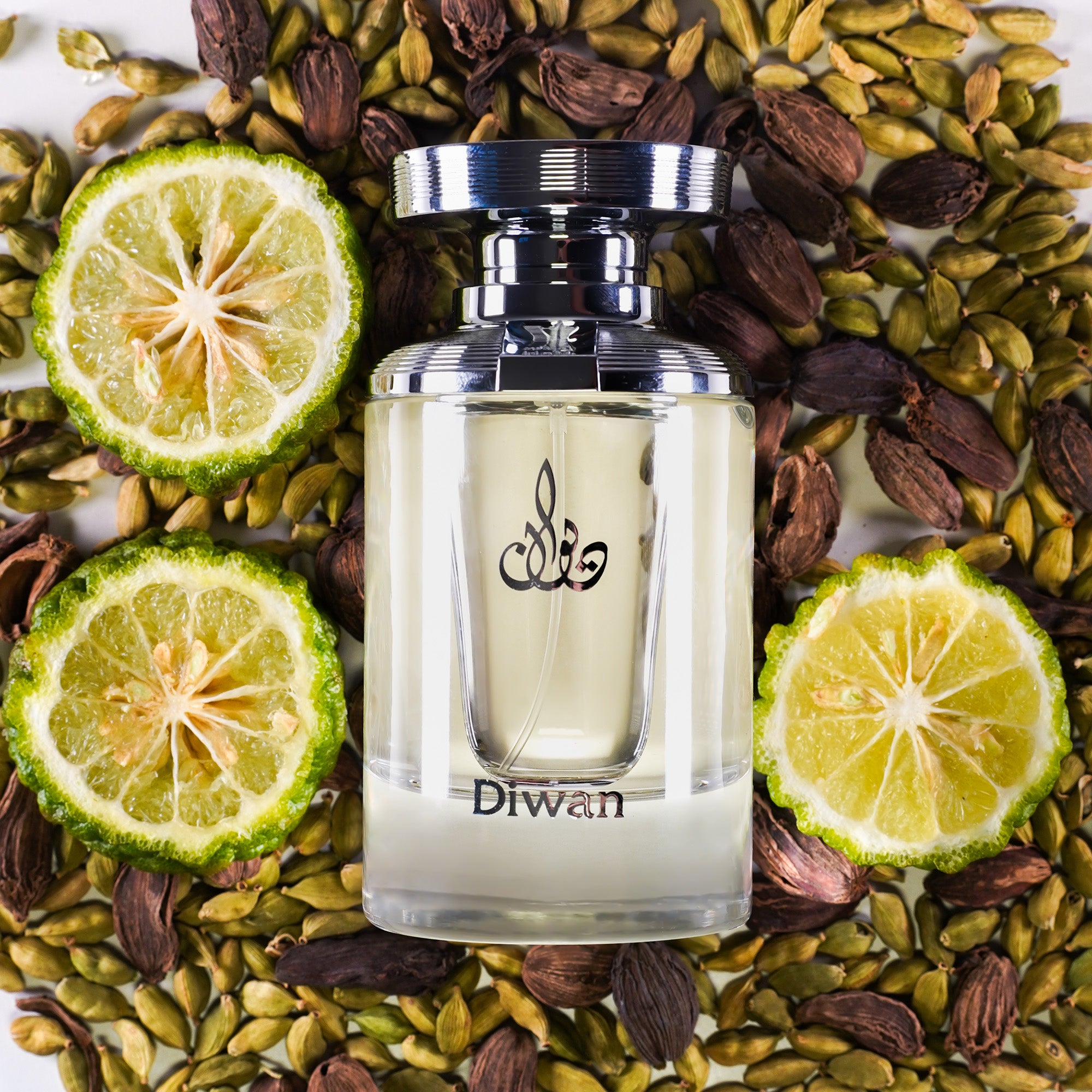 ARABIAN OUD DIWAN Woda perfumowana unisex 50 ml #2