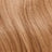 Golden Gloss